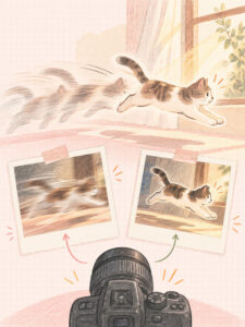 ????? ???? ???? ??? ??? editorial illustration